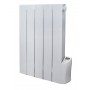 Radiateur inertie fluide 900 W  - Warm Tech