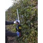 Taille-haies électrique 600W Lame 80cm Gardeo Pro