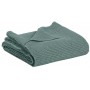 Jete Stonewashed Maia Vert de Gris