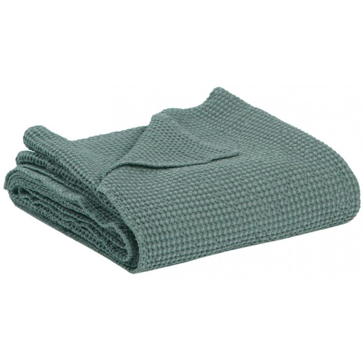 Jete Stonewashed Maia Vert de Gris