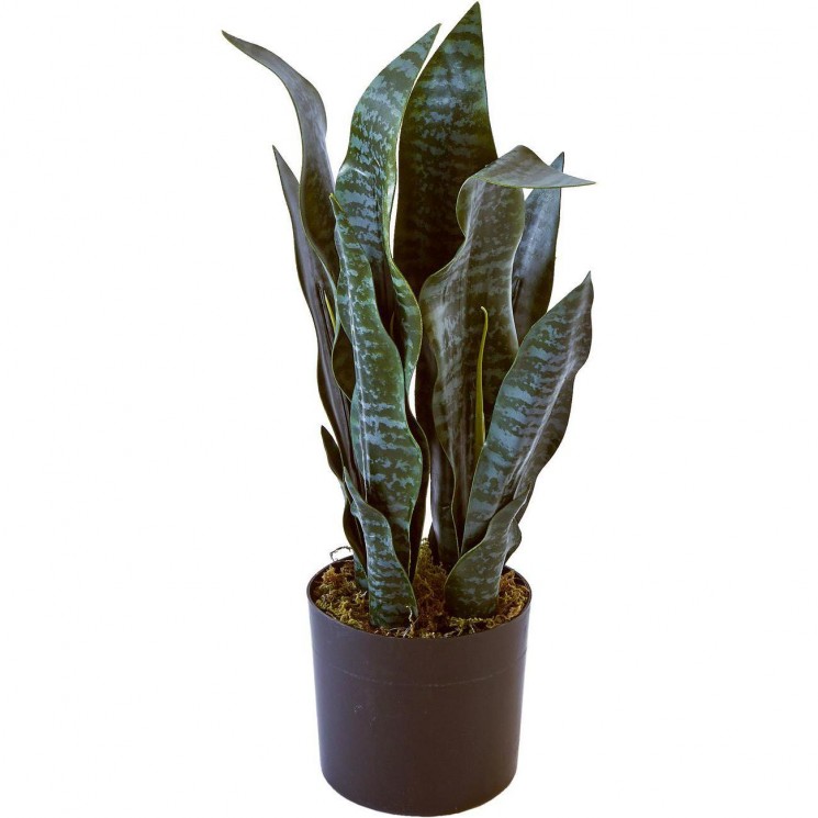 décoplante 57601 - Olla Vert - Lot de 1