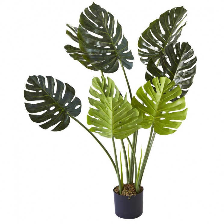 décoplante 57603 - Olla Vert - Lot de 1