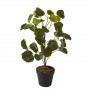 décoplante 57605 - Olla Vert - Lot de 1