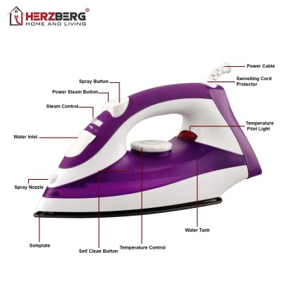 Herzberg HG-8036: Fer à Vapeur 2200W - Violet
