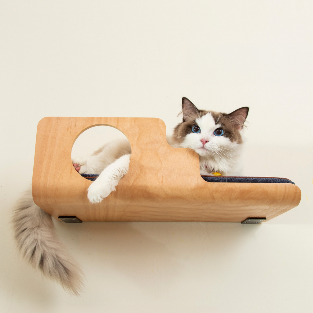 Hole Cat Wall Shelf