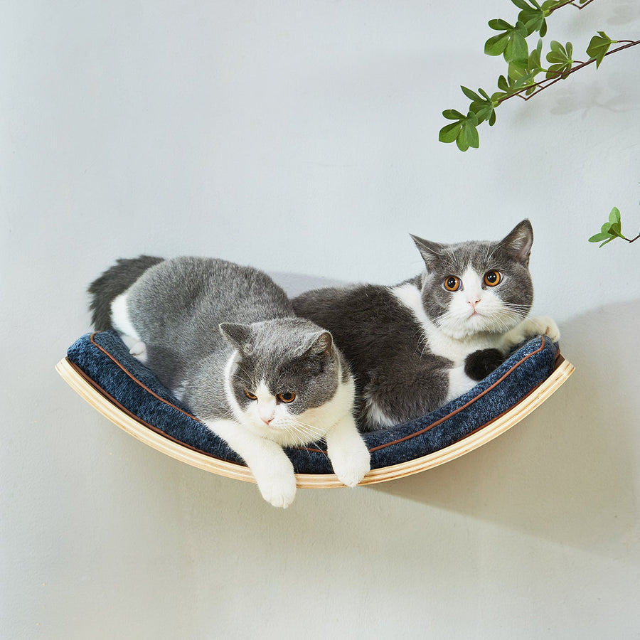 Large Curved Cat Shelf - Wall-Mounted Cat Beds