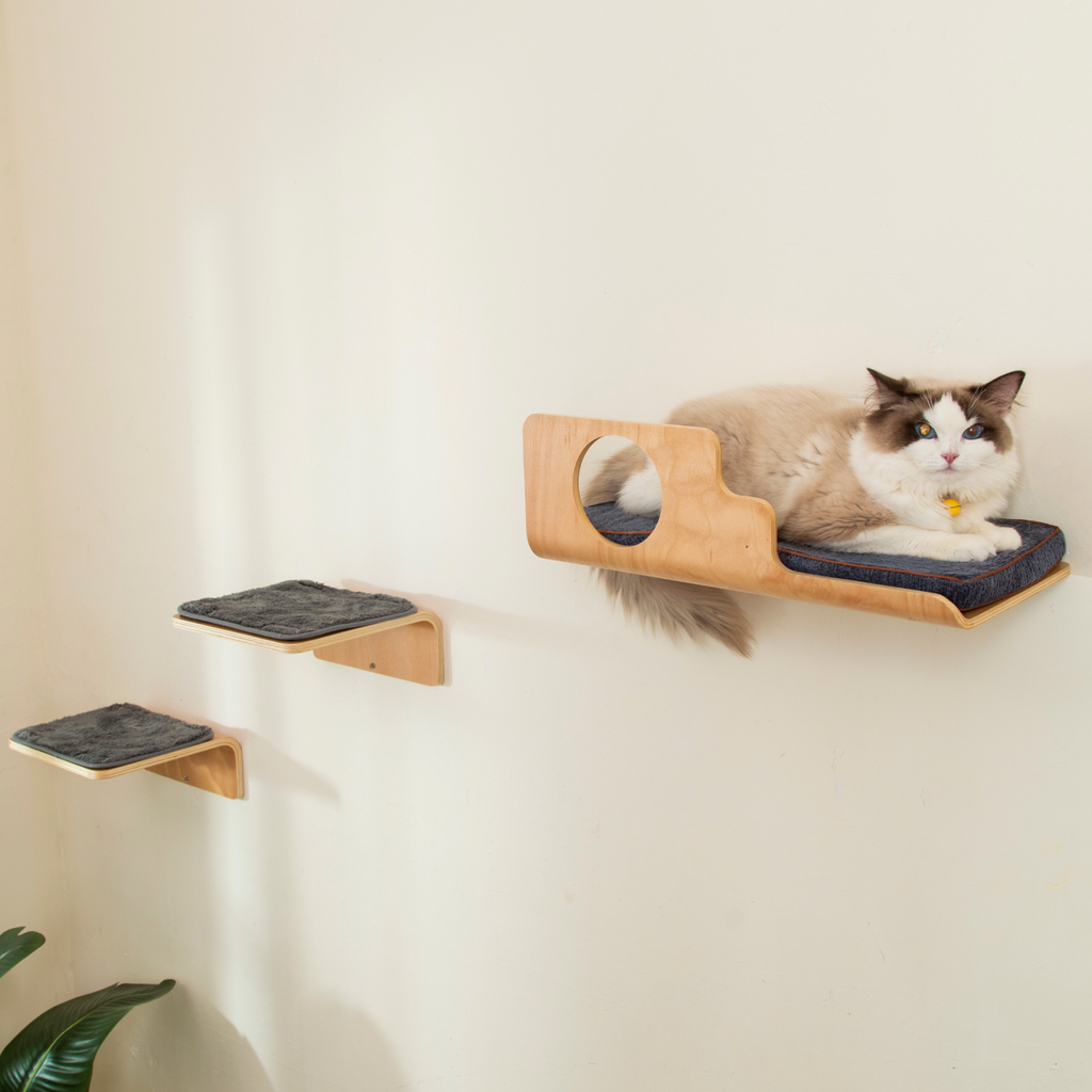 Hole Cat Wall Shelves & 2 Cat Wall Steps