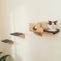 Hole Cat Wall Shelves & 2 Cat Wall Steps