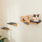 Hole Cat Wall Shelves & 2 Cat Wall Steps