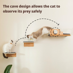 Hole Cat Wall Shelves & 2 Cat Wall Steps