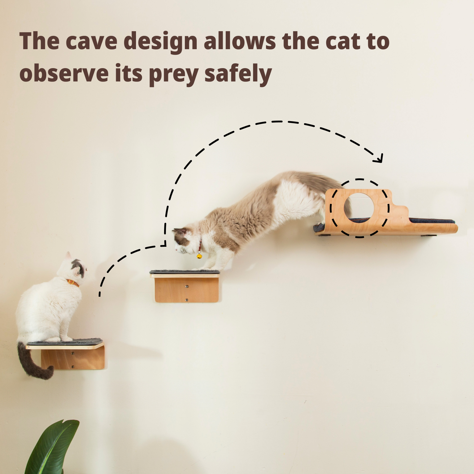 Hole Cat Wall Shelves & 2 Cat Wall Steps