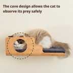 Hole Cat Wall Shelf