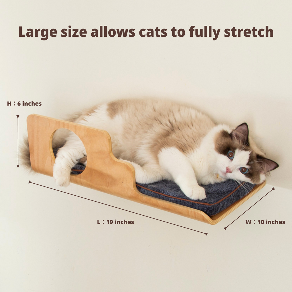 Hole Cat Wall Shelf
