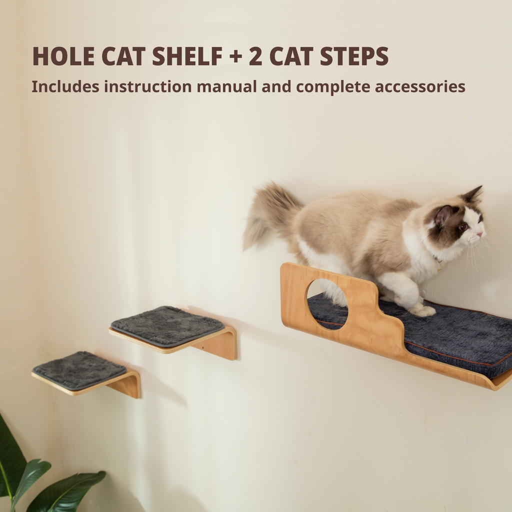 Hole Cat Wall Shelves & 2 Cat Wall Steps
