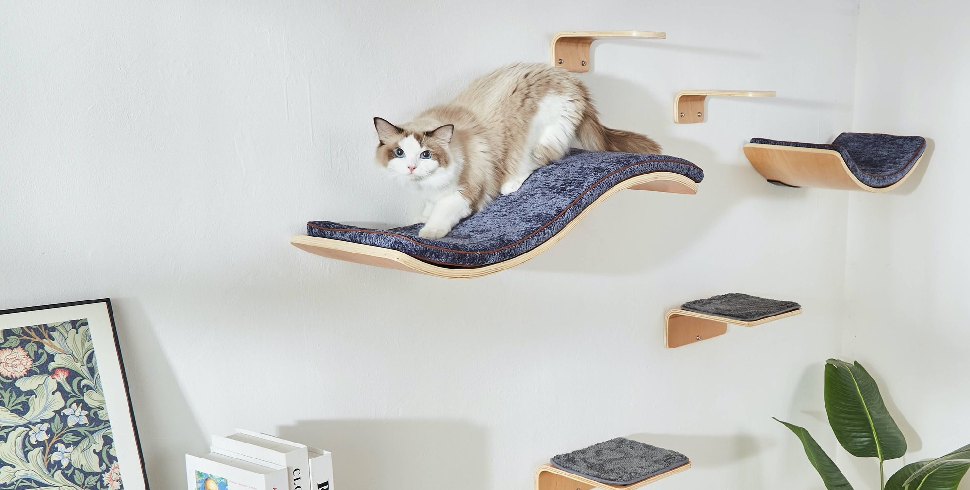 Modern Cat Wall Furniture