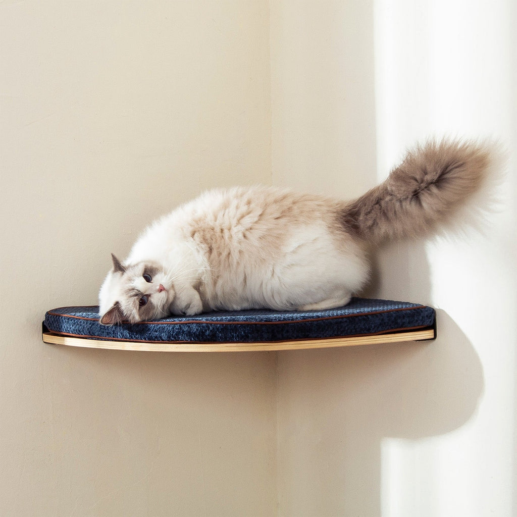 Corner Cat Shelf with Comfortable Cat Pad