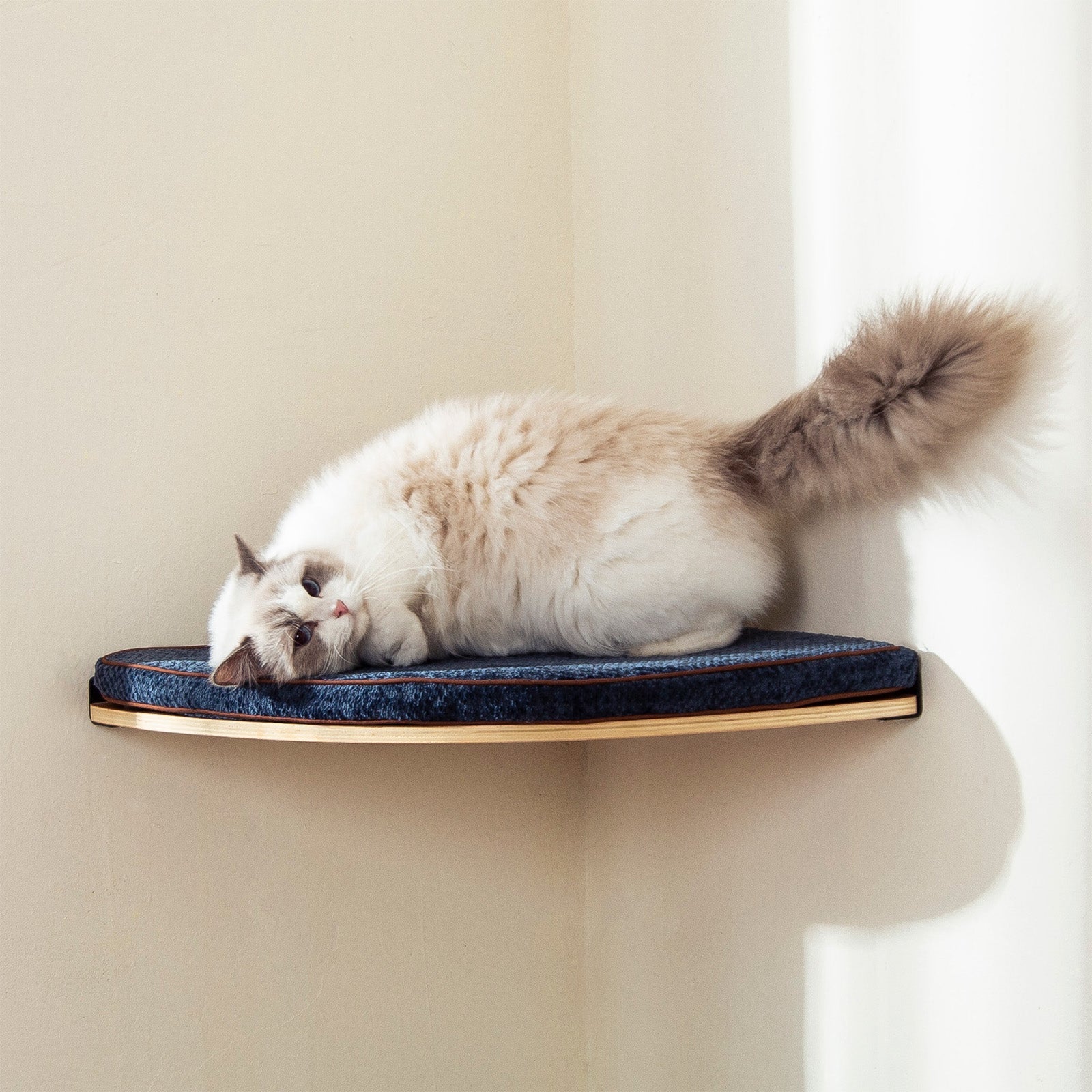 Corner Cat Shelf with Comfortable Cat Pad