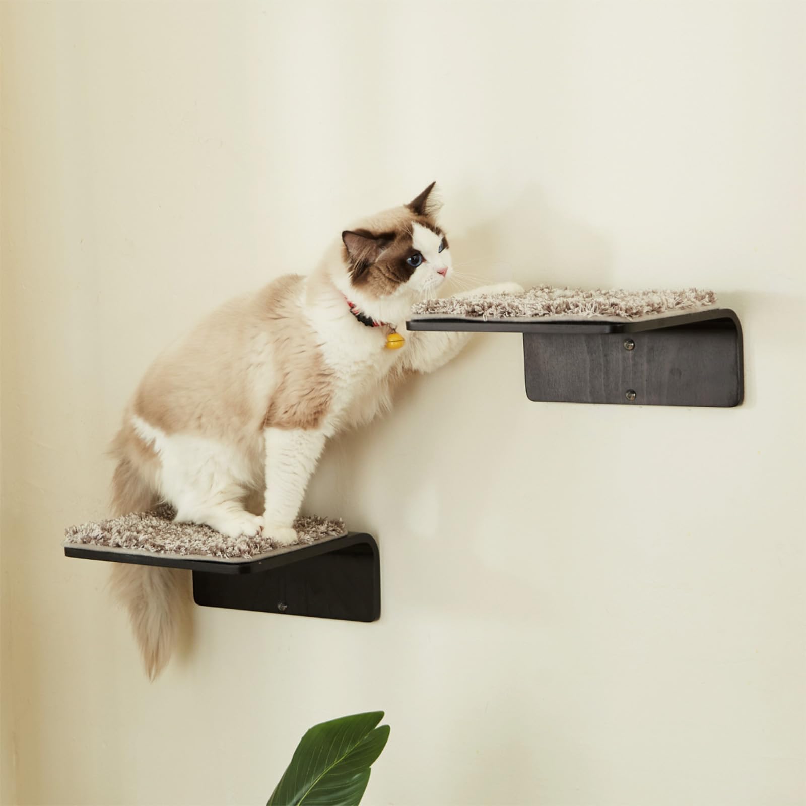 2 Set Cat Wall Steps - Wooden Cat Climbing Shelves