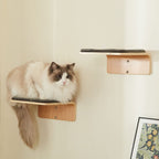 2 Set Cat Wall Steps - Wooden Cat Climbing Shelves