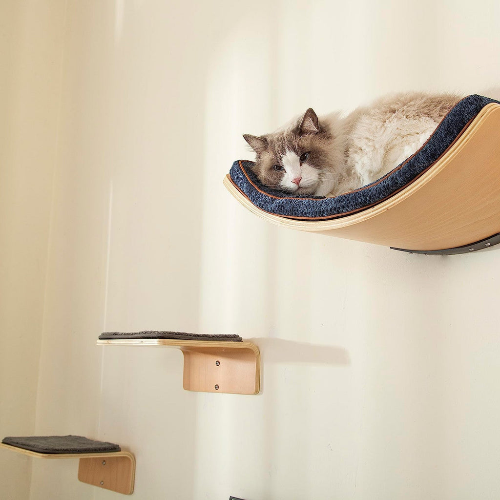 Large Cat Wall Shelves with 2 Cat Wall Steps -  Modern Cat Wall Furniture, Cream