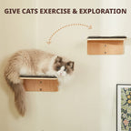 2 Set Cat Wall Steps - Wooden Cat Climbing Shelves