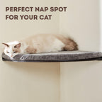 Corner Cat Shelf with Comfortable Cat Pad