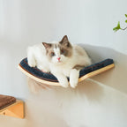 Medium Curved Cat Shelf - Wall-Mounted Cat Beds