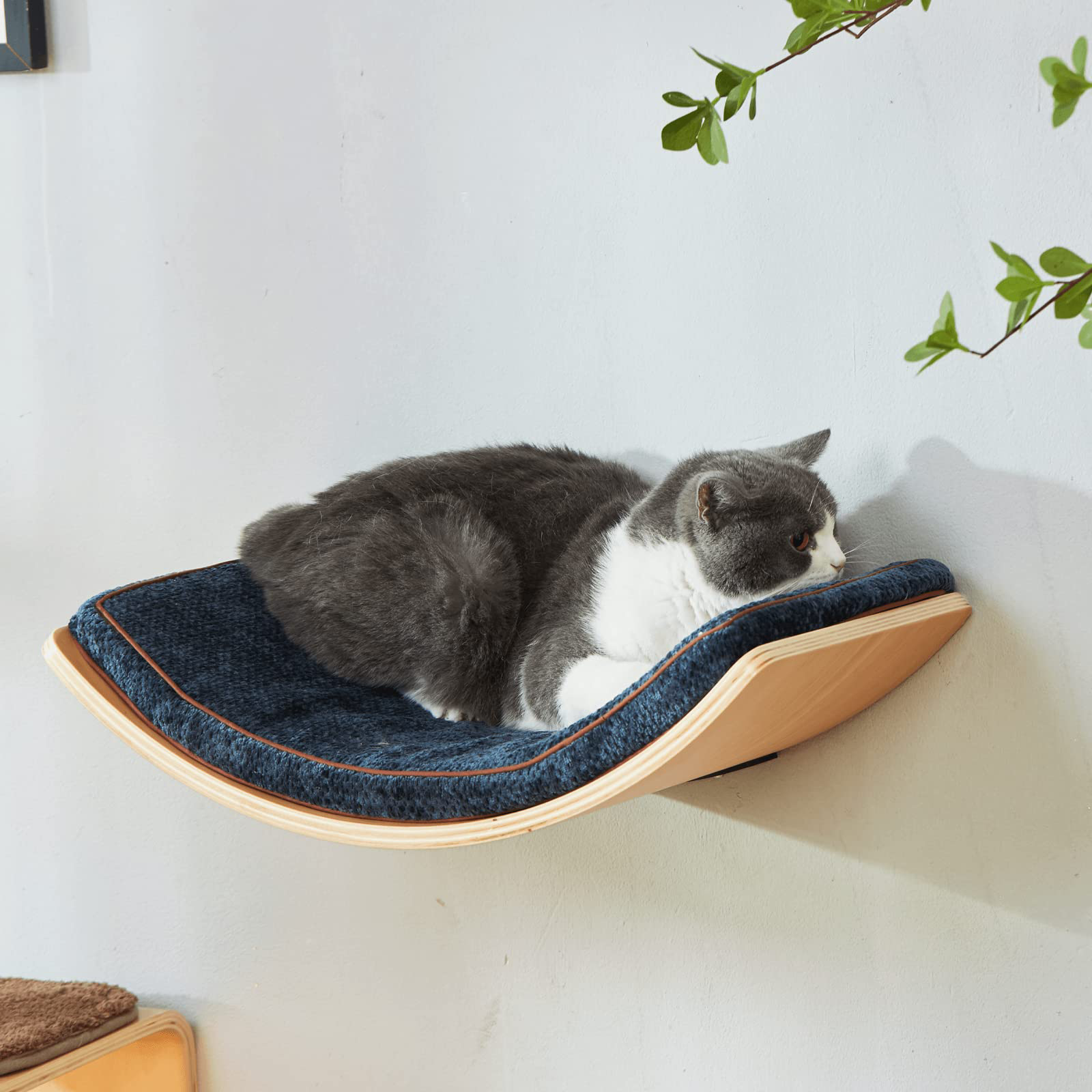 Large Curved Cat Shelf - Wall-Mounted Cat Beds
