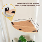 Corner Cat Shelf with Comfortable Cat Pad