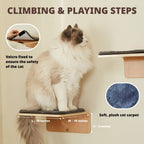 Wave Cat Shelves with 2 Cat Wall Steps -  Modern Cat Wall Furniture, Cream