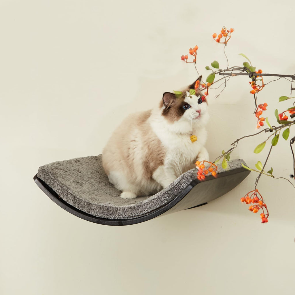 Large Curved Cat Shelf - Wall-Mounted Cat Beds
