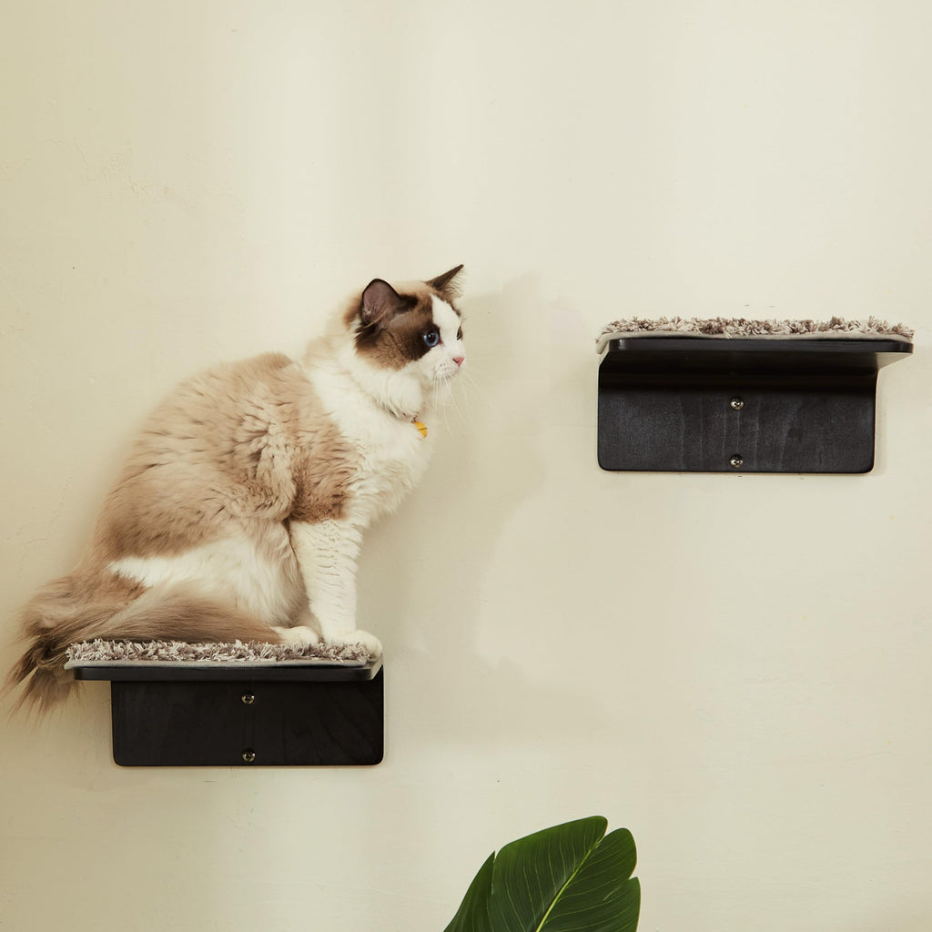 2 Set Cat Wall Steps - Wooden Cat Climbing Shelves