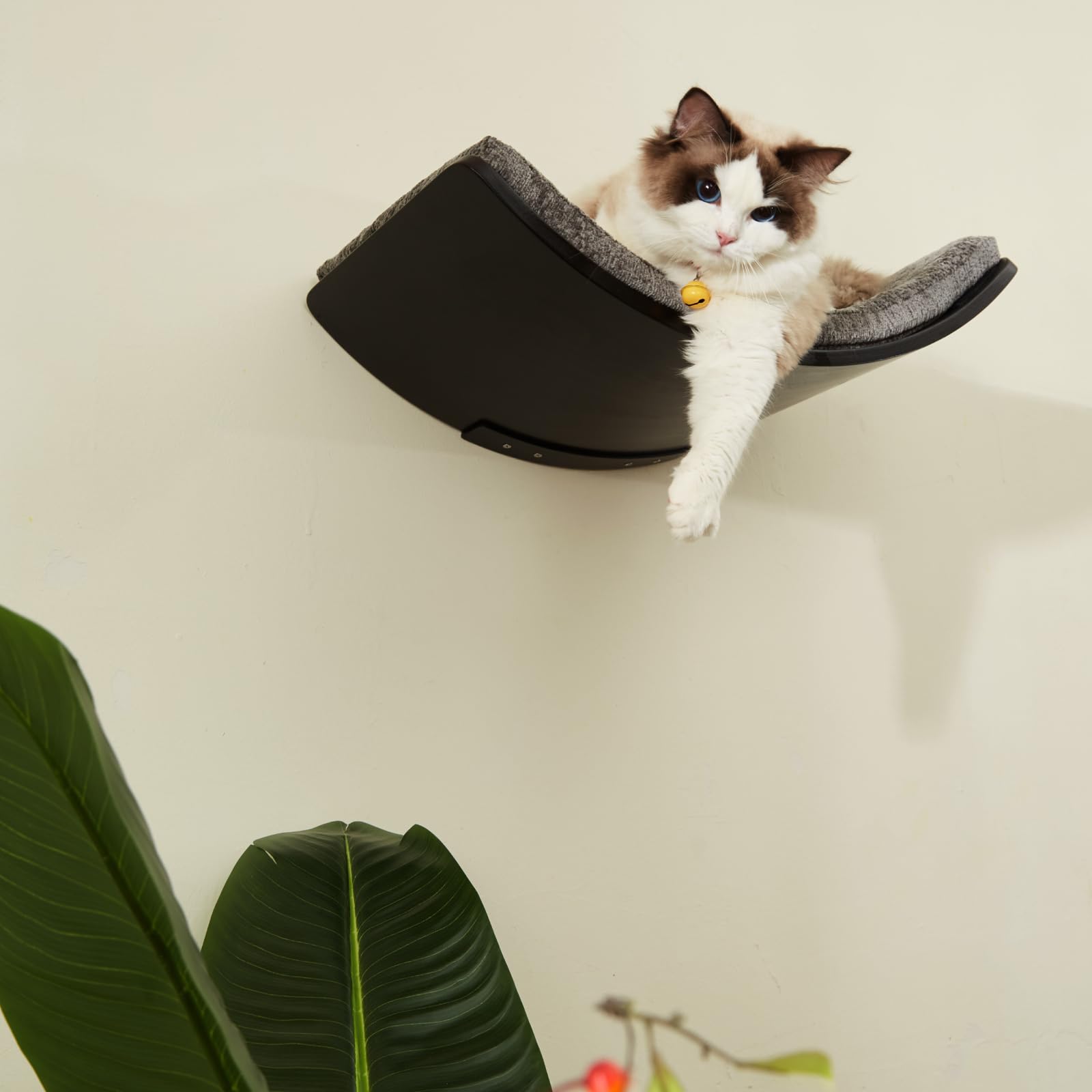 Large Curved Cat Shelf - Wall-Mounted Cat Beds