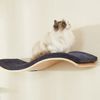 Wave Cat Shelf - Modern Cat Wall Furniture