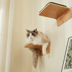 2 Set Cat Wall Steps - Wooden Cat Climbing Shelves
