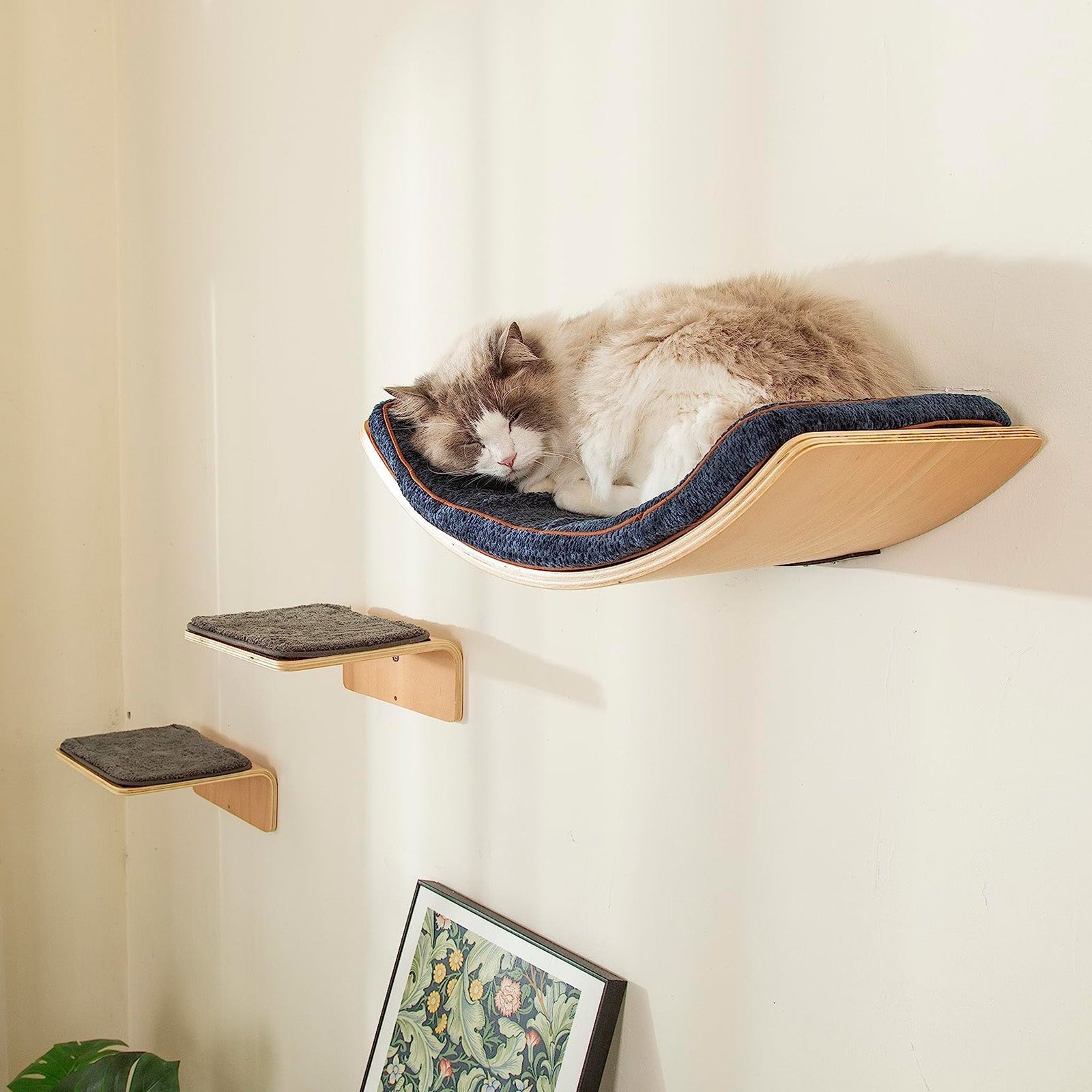 Large Cat Wall Shelves with 2 Cat Wall Steps -  Modern Cat Wall Furniture, Cream